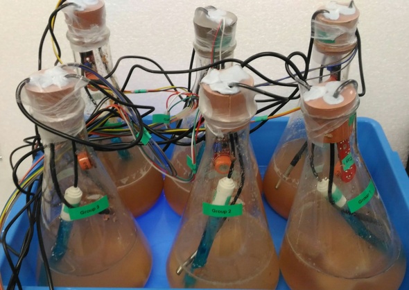 winemaking setup